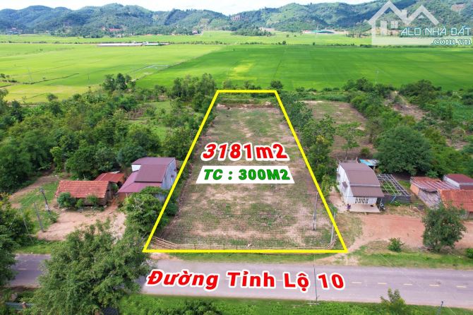 3,7 sào Thổ cư 300m2 MT Tỉnh Lộ 10 Ea Bông view ruộng chỉ 80 triệu/m ngang Quỳnh Anh