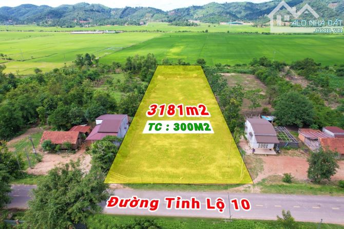 3,7 sào Thổ cư 300m2 MT Tỉnh Lộ 10 Ea Bông view ruộng chỉ 80 triệu/m ngang Quỳnh Anh - 1