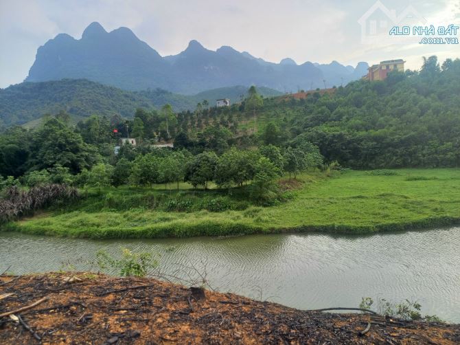 🧨🧨  Siêu phẩm bấm suối , Trong đất có ao tổng diện tích 7701m2 ( thực tế sử dụng 8384m2) - 2