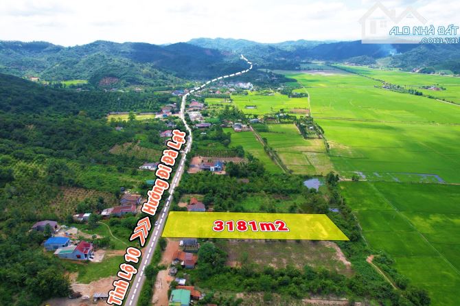 3,7 sào Thổ cư 300m2 MT Tỉnh Lộ 10 Ea Bông view ruộng chỉ 80 triệu/m ngang Quỳnh Anh - 3