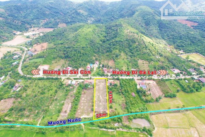 3,7 sào Thổ cư 300m2 MT Tỉnh Lộ 10 Ea Bông view ruộng chỉ 80 triệu/m ngang Quỳnh Anh - 4