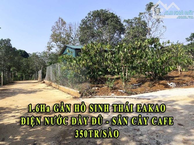 BÁN ĐẤT SÀO EAKAO BUÔN MA THUỘT DAKLAK - 4