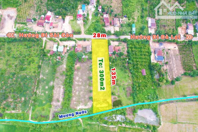 3,7 sào Thổ cư 300m2 MT Tỉnh Lộ 10 Ea Bông view ruộng chỉ 80 triệu/m ngang Quỳnh Anh - 5