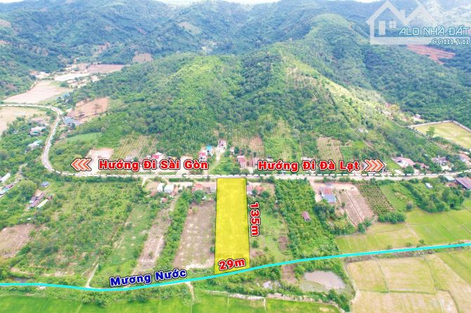 3,7 sào Thổ cư 300m2 MT Tỉnh Lộ 10 Ea Bông view ruộng chỉ 80 triệu/m ngang Quỳnh Anh - 7