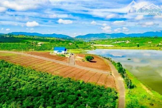 Bán lô đất viêw hồ Lâm Đồng cực đẹp - 2