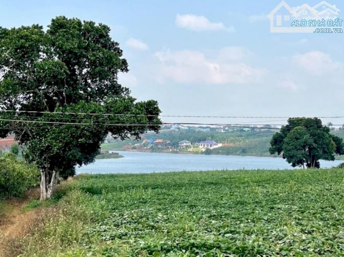 Bán lô đất view hồ Phúc Thọ Lâm Đồng cực đẹp - 3