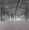 Cho thuê kho xưởng 3000m2, 4000m2, 6000m2, 12000m2, CCN ĐT 830, Lương Bình, Bến Lức