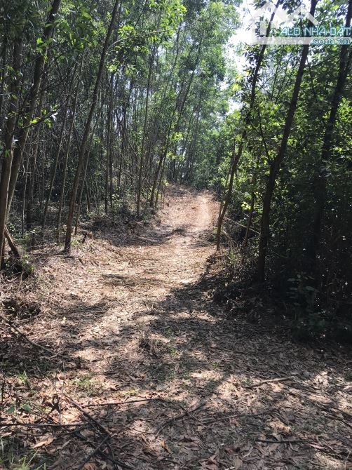 BÁN 6,7 HECTA ĐẤT TRỒNG CÂY HOÀ NINH - NGAY ĐƯỜNG VÀNH ĐAI PHÍA TÂY VỪA THÔNG XE - 1