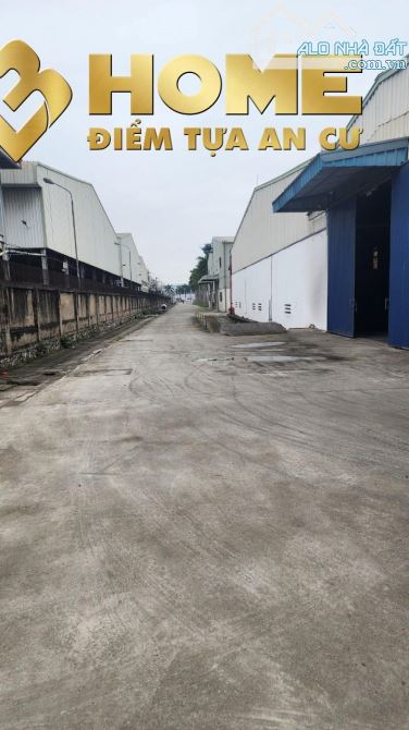 X893. CHO THUÊ KHO XƯỞNGTỈNH HẢI DƯƠNG 3.100M2, 3.750M2, 5.600M2 CÓ PCCC TỰ ĐỘNG - 1