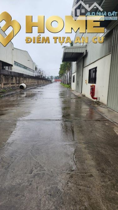 X893. CHO THUÊ KHO XƯỞNGTỈNH HẢI DƯƠNG 3.100M2, 3.750M2, 5.600M2 CÓ PCCC TỰ ĐỘNG - 5