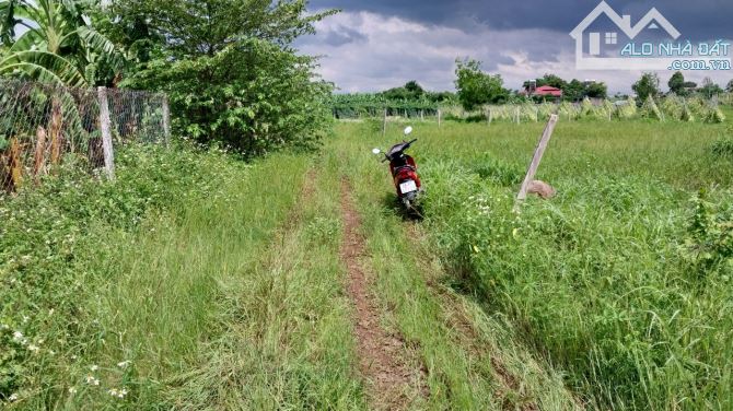 Cần bán 1163m, xã Cây Gáo, huyện Trảng Bom