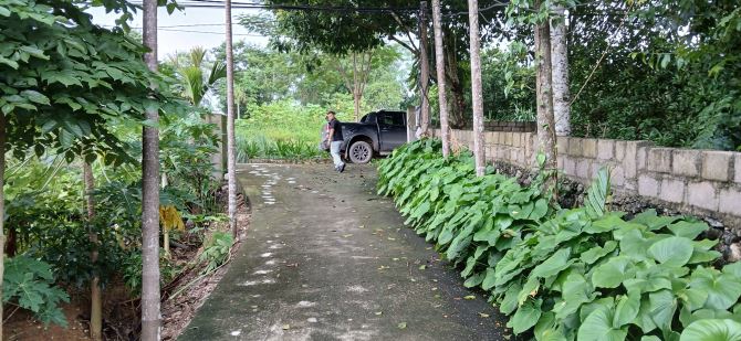 Cần tiền bán nhanh giá hơn 2 tỉ, 2058m2 có 400m Thổ cư, 3 mặt tiền. Phù Hợp phân lô