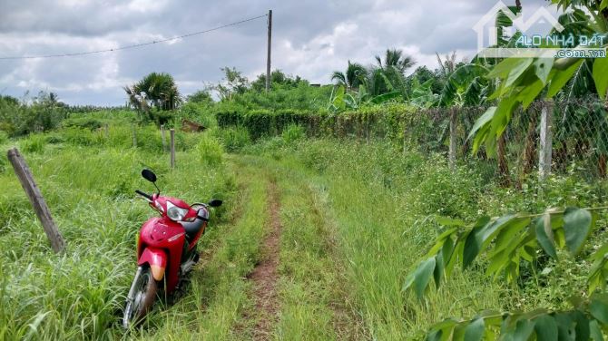 Cần bán 1163m, xã Cây Gáo, huyện Trảng Bom - 1