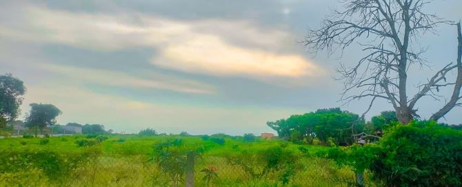 BÁN VƯỜN NHÃN 1.8HA BIỂN BÌNH CHÂU,MT ĐƯỜNG NHỰA THÔNG  RA BIỂN, CÁCH SUỐI NƯỚC NÓNG 1KM