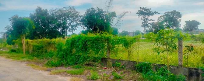 BÁN VƯỜN NHÃN 1.8HA BIỂN BÌNH CHÂU,MT ĐƯỜNG NHỰA THÔNG  RA BIỂN, CÁCH SUỐI NƯỚC NÓNG 1KM - 1