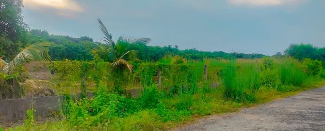 BÁN VƯỜN NHÃN 1.8HA BIỂN BÌNH CHÂU,MT ĐƯỜNG NHỰA THÔNG  RA BIỂN, CÁCH SUỐI NƯỚC NÓNG 1KM - 2