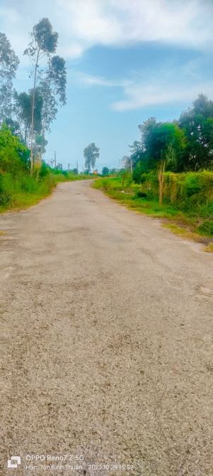 BÁN VƯỜN NHÃN 1.8HA BIỂN BÌNH CHÂU,MT ĐƯỜNG NHỰA THÔNG  RA BIỂN, CÁCH SUỐI NƯỚC NÓNG 1KM - 3