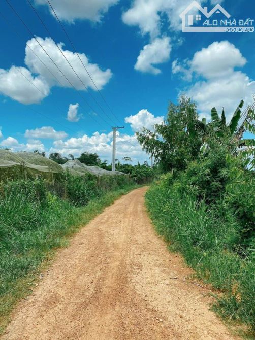 BÁN GẤP TRANG TRẠI 40,000M2(4HA) ĐẤT BẰNG PHẲNG CÁCH SAIGON 80KM CHỈ 8TY7