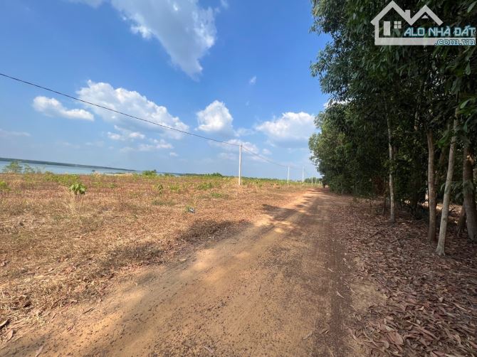 Bán hơn 8 sào đất View Hồ Dầu Tiếng, Thích Hợp nghỉ Dưỡng Cuối Tuần Tuyệt Đẹp - 1