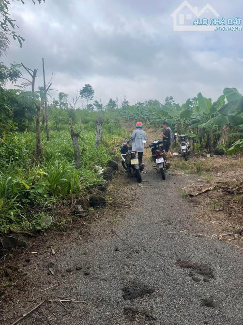 BÁN LÔ ĐẤT VƯỜN ĐẸP 2999M2 KHU DÂN CƯ CÁCH QUỐC LỘ 20 4KM CHỈ 450 TRIỆU - 1