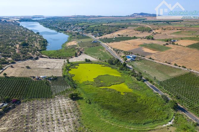 Bán đất mặt đường gần Bàu Trắng, Phan Thiết, Bình Thuận. - 1