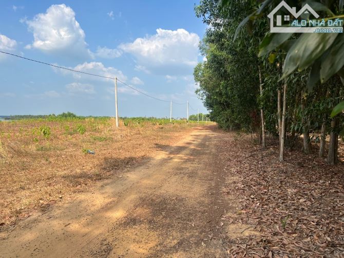Bán hơn 8 sào đất View Hồ Dầu Tiếng, Thích Hợp nghỉ Dưỡng Cuối Tuần Tuyệt Đẹp - 2