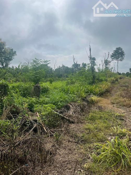 BÁN LÔ ĐẤT VƯỜN ĐẸP 2999M2 KHU DÂN CƯ CÁCH QUỐC LỘ 20 4KM CHỈ 450 TRIỆU - 2