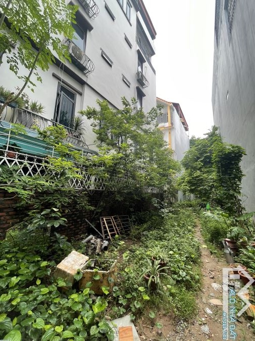 Bán 139 m2, đất tại Bồ Đề Long Biên, Ô tô vào, thông phố Hồng Tiến - 2