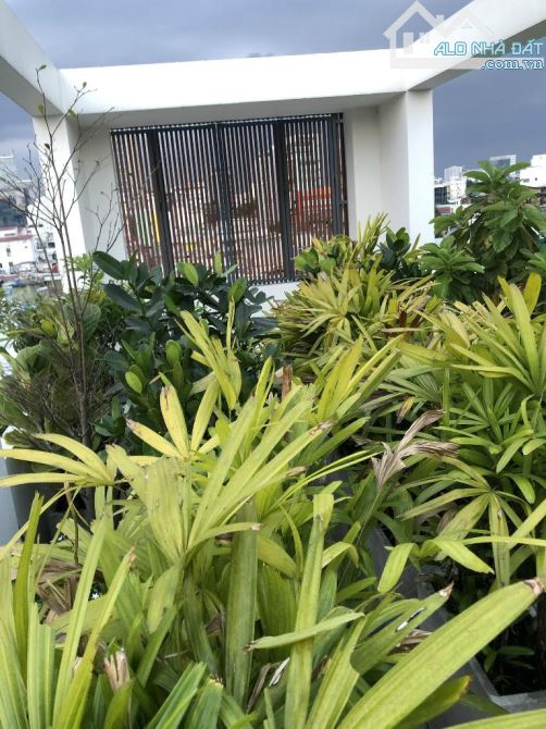 MT VÕ VĂN TẦN Q3, ĐOẠN VIP 2 CHIỀU, 48 M2, 7 TẦNG THANG MÁY, THU 3500$/THÁNG, 36 TỶ TL - 3