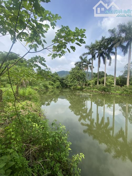 Bán Gấp 1821m Đất thôn Lâm Trường, Minh Phú, Sóc Sơn. View Suối Mơ. - 4