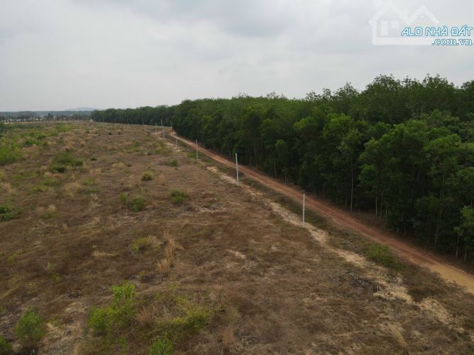 Bán hơn 8 sào đất View Hồ Dầu Tiếng, Thích Hợp nghỉ Dưỡng Cuối Tuần Tuyệt Đẹp - 6