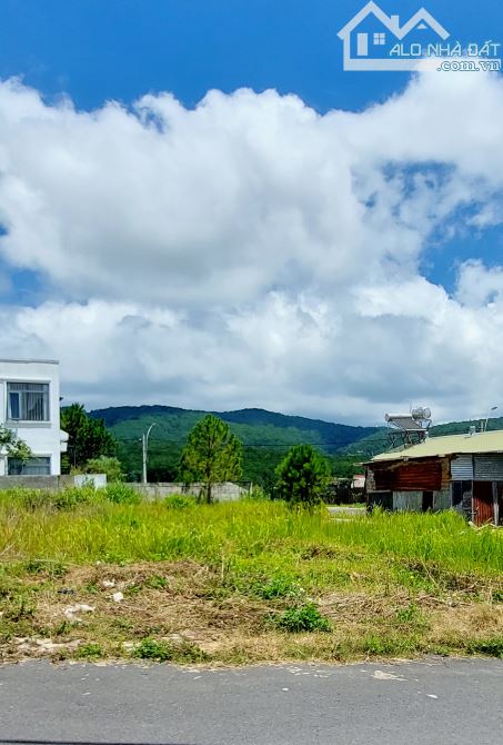 🏠200m An Sơn- Dãy D view rừng thông-Phường 4- Đà Lạt