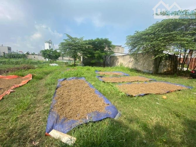 Đất Mặt Tiền Nguyễn Văn Tạo Nhà Bè 8200m2 Chỉ 185Tỷ.