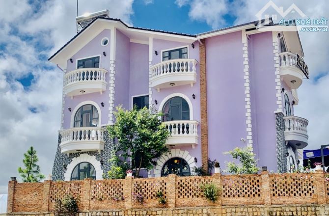 CĂN VILLA MÀU TÍM 300m2 Phường 8 - 15 TỶ