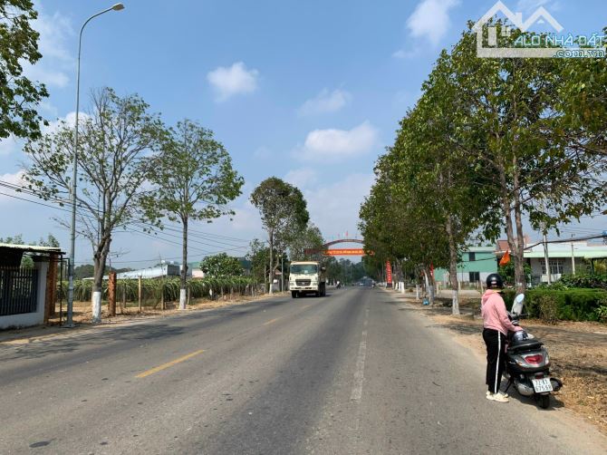 Bán đất mặt tiền đường QL 55 gần uỷ ban huyện Xuyên Mộc, Bà rịa Vũng Tàu. - 1