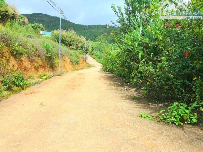 Bán gấp đất view đẹp rừng thông gần trung tâm Đà Lạt, đi Hồ Xuân Hương hơn 4km - 1