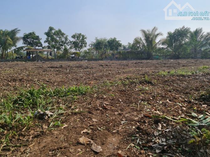 Đất Mặt Tiền Nguyễn Văn Tạo Nhà Bè 8200m2 Chỉ 185Tỷ. - 2