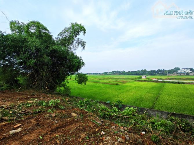 Lô đất view cánh đồng bát ngát, Hoà Thạch, Quốc Oai, Hà Nội - 3