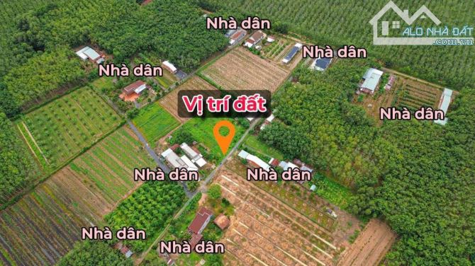 450 Trịu Chốt Liền Lô Đất Ấp Bến Chò Thạnh Đức Gò Dầu Tây Ninh - 4