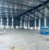 Cho thuê 3.600m2 có PCCC tự động