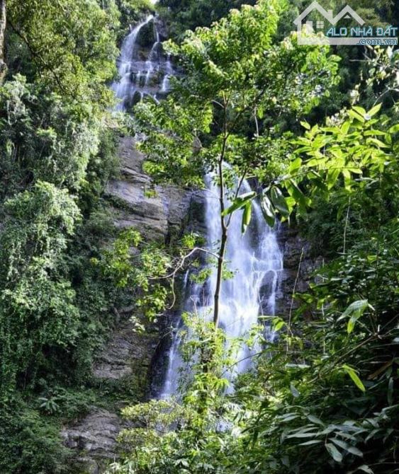 LÔ ĐẤT CẠNH RỪNG NGUYÊN SINH QUỐC GIA, CÓ THỔ CƯ, CÁCH SUOI RAO ECOLODGE CHỈ 1KM