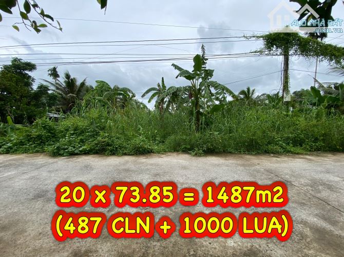 #249 || Đất Công 1487m2 Lộ Ô Tô, Mương Ngang, Nhơn Ái, Phong Điền. 💰💰Giá ngộp: 1,2tr/m2