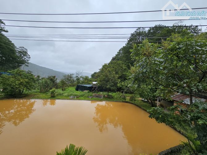 Cần bán gần 9898,91m²  đất Nông Nghiệp Đèo Fren - p3 - Đà Lạt. 70ty - 5