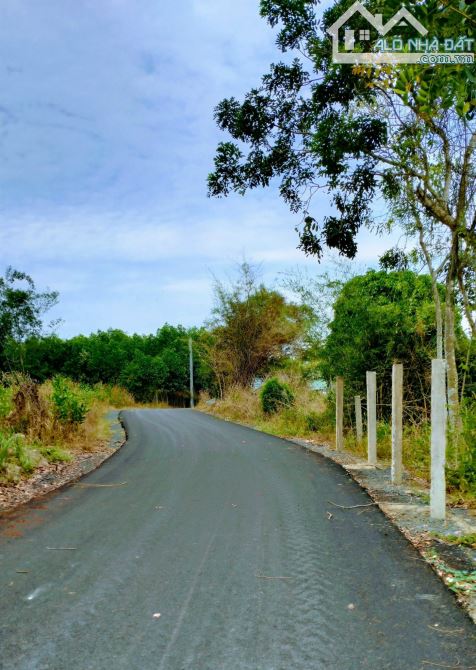 Lô đất Phước thuận 2 mt nhựa 15*39,40 thổ cách biển 4km giá rẻ - 1