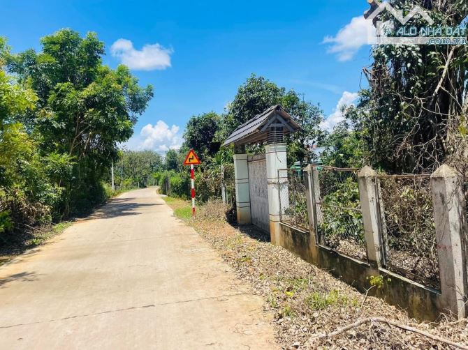 BÁN GẤP LÔ ĐẤT VƯỜN ĐẸP 17,232M2 CÓ 100M MẶT TIỀN BÊ TÔNG CÁCH QUỐC LỘ 20 500M CHỈ 5TY3 - 1