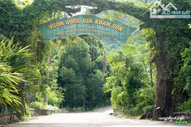 LÔ ĐẤT CẠNH RỪNG NGUYÊN SINH QUỐC GIA, CÓ THỔ CƯ, CÁCH SUOI RAO ECOLODGE CHỈ 1KM - 1