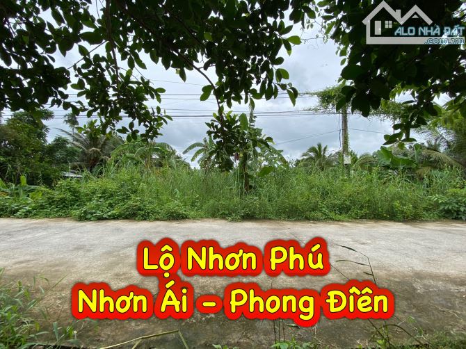 #249 || Đất Công 1487m2 Lộ Ô Tô, Mương Ngang, Nhơn Ái, Phong Điền. 💰💰Giá ngộp: 1,2tr/m2 - 1