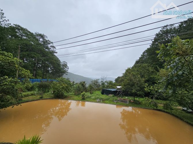 Cần bán gần 9898,91m²  đất Nông Nghiệp Đèo Fren - p3 - Đà Lạt. 70ty - 6
