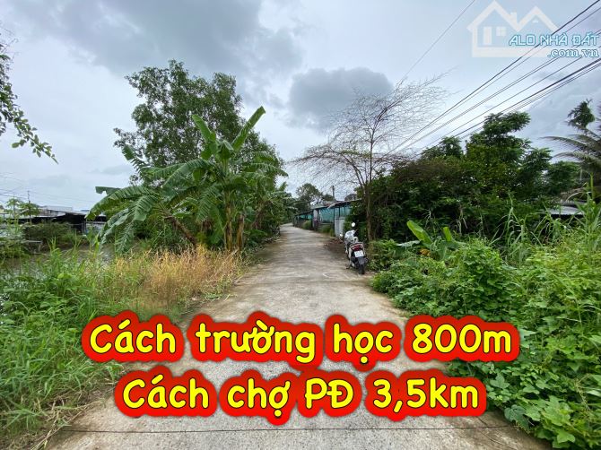 #249 || Đất Công 1487m2 Lộ Ô Tô, Mương Ngang, Nhơn Ái, Phong Điền. 💰💰Giá ngộp: 1,2tr/m2 - 3