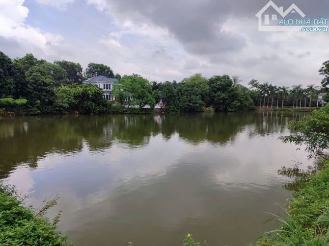 340M2 FULL THỔ CƯ 2 MẶT ĐƯỜNG TRƯỚC SAU VIEW TRIỆU USD TẠI HỒ VĂN SƠN   +340M2 full thổ cư - 4